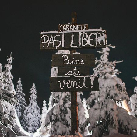 Camere De Inchiriat Pasi Liberi Tău Bistra 外观 照片