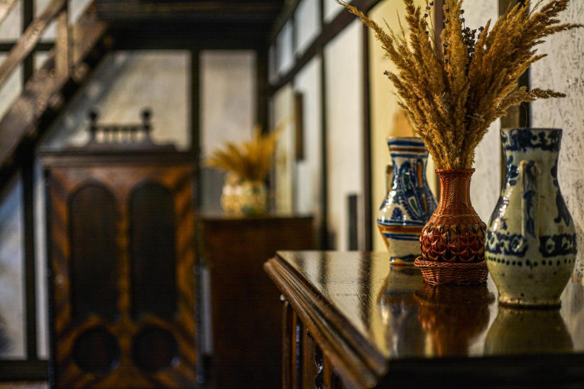 Camere De Inchiriat Pasi Liberi Tău Bistra 外观 照片