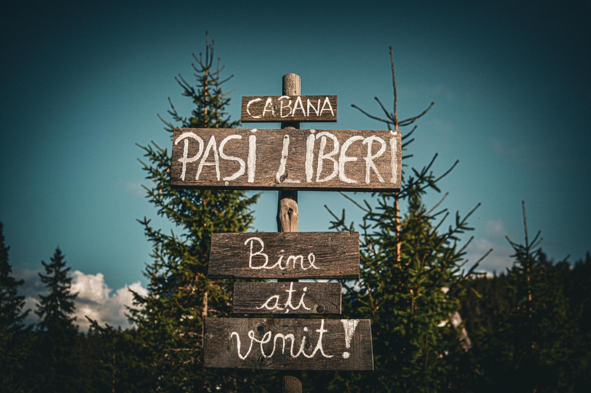 Camere De Inchiriat Pasi Liberi Tău Bistra 外观 照片